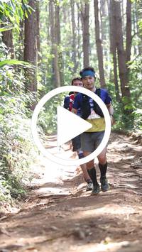 BIB:  <button type="button" onclick="openModal(26569408)" class="btn btn-primary btn-sm float-right" data-toggle="modal" data-target=".modal-high-quality">
                <i class="fa fa-download"></i> Download
                </button>